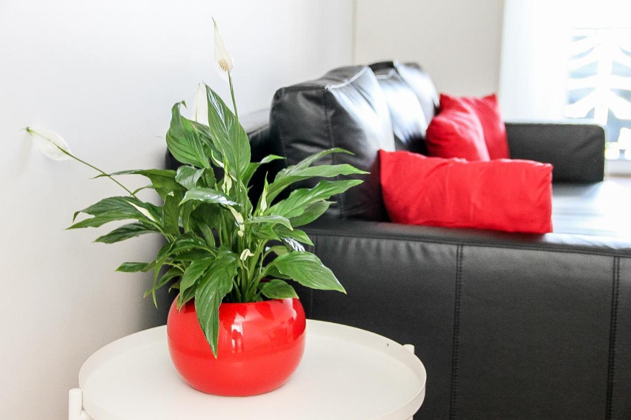 Grand T1 Moderne Jardin Pres De Cdg Apartment Le Thillay Exterior photo